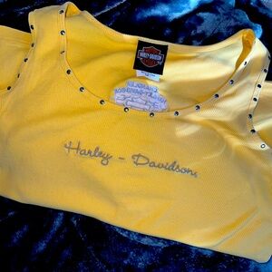 Chandler AZ Harley Davidson Tank with Metal Hardware